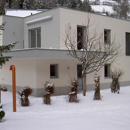 Appartement Christopherus 페트노이 암 아를베르크 외부 사진
